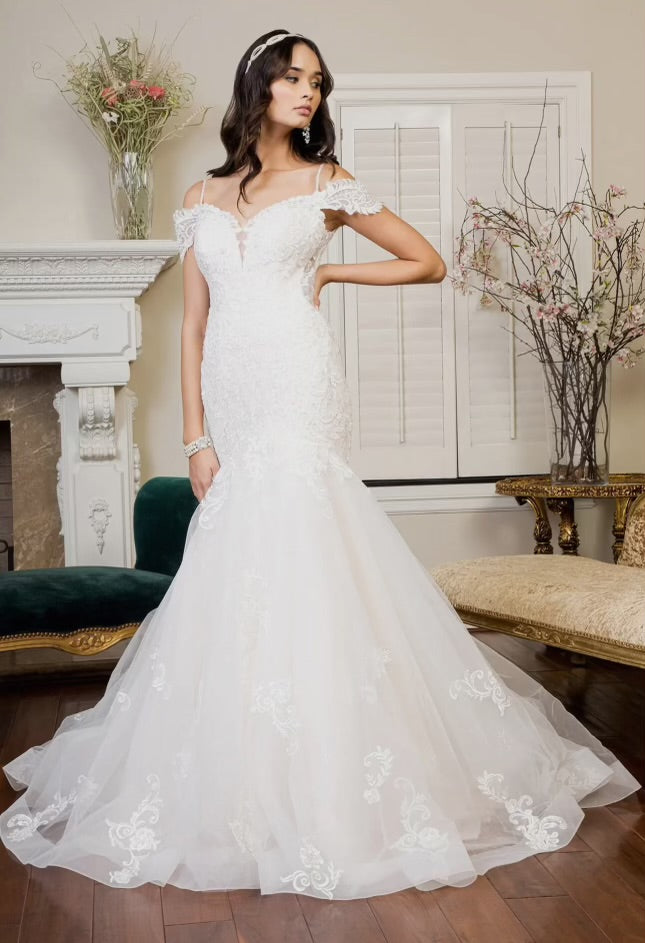 Sabrina Sweethearted Embroided Mesh Mermaid Wedding Gown w/ Tail