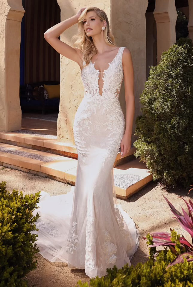 Fitted Mermaid Lace Bridal Dress