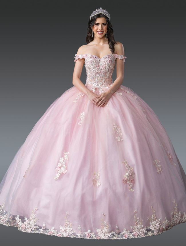 Isabel Embellished Gown with Accents Quinceanera Dress