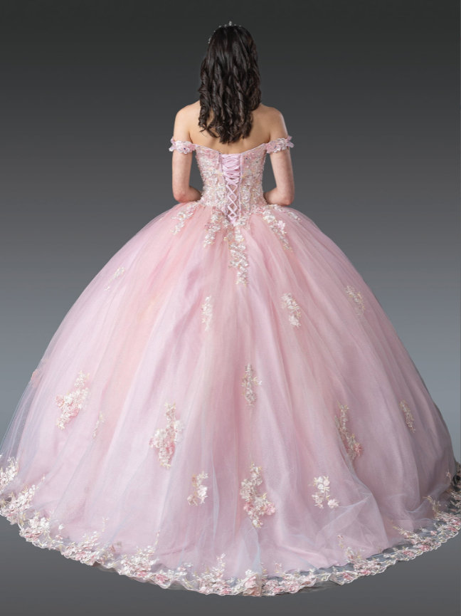 Isabel Embellished Gown with Accents Quinceanera Dress