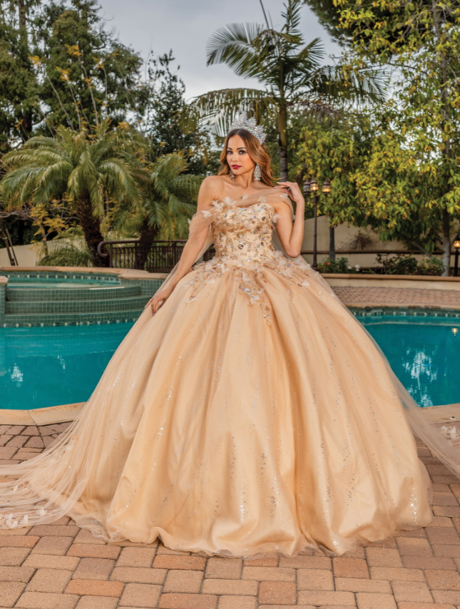 Stacy Lace-Up Back Tulle gown Quinceanera dress