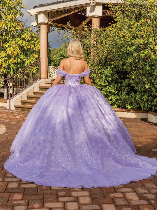 Alice Embroidered Gown with Overlay Skirt Quinceanera dress