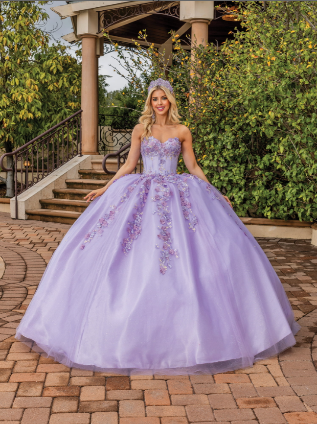 Aaliyah Embroidered Gown with Corset Bodice Quinceanera Dress