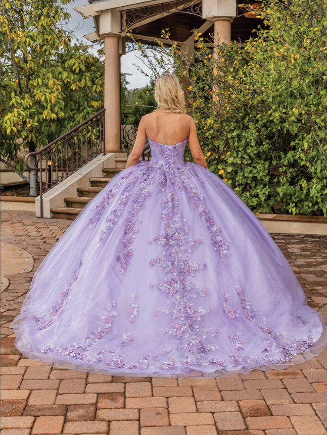 Aaliyah Embroidered Gown with Corset Bodice Quinceanera Dress