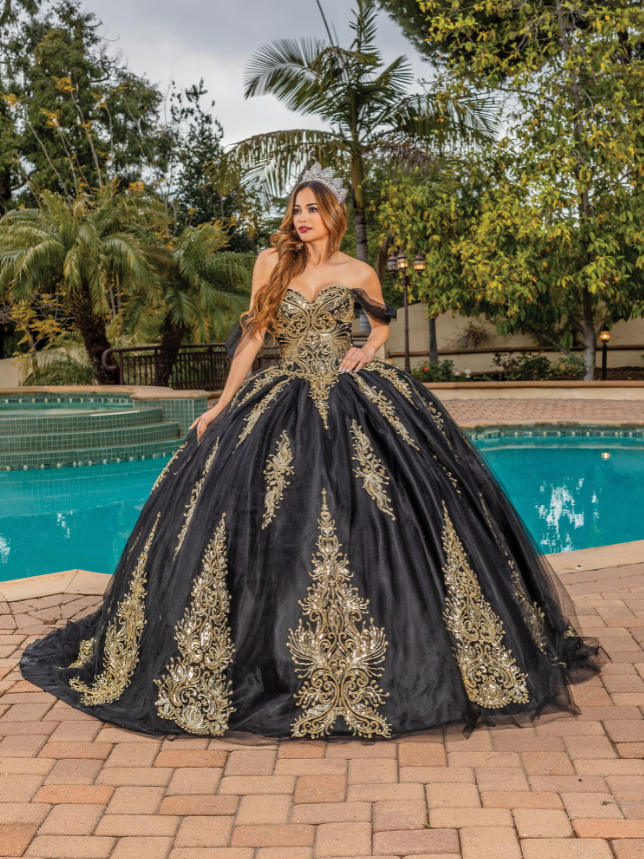 Susan Embroidered Gown with Sheer Long Sleeves Quinceanera Dress