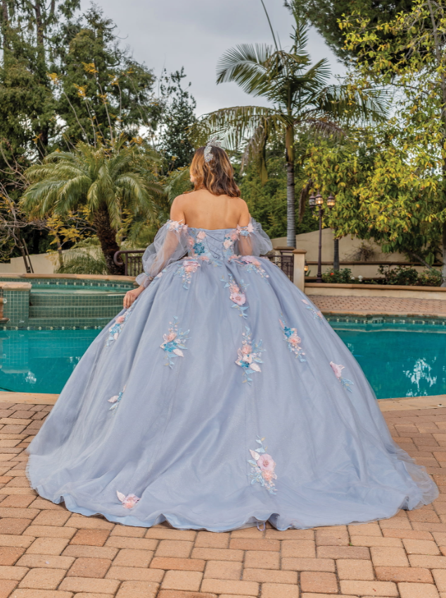 Nova Tulle Gown with Sheer Sleeves Quinceanera dress