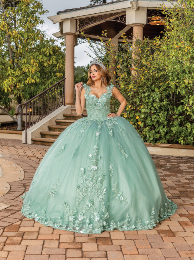 Monica Corset Bodice gown with Sheer Overlay and Appliqué Quinceanera dress