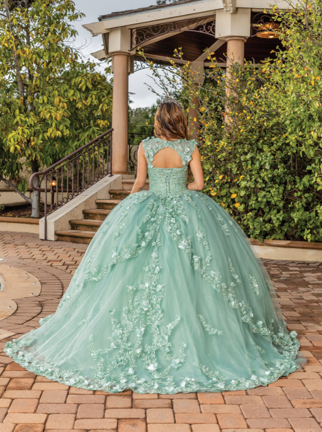 Monica Corset Bodice gown with Sheer Overlay and Appliqué Quinceanera dress