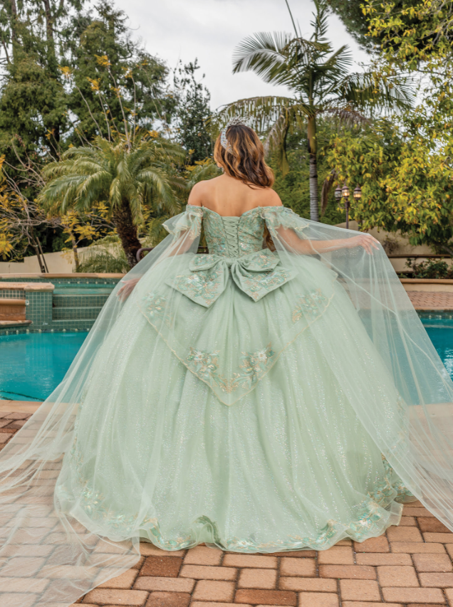 Jade Gown with Sheer Long Sleeves Quinceanera Dress