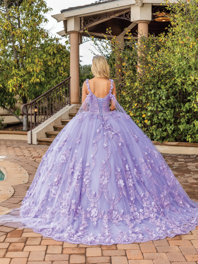 Allison Neckline Gown with Sheer Sleeves Quinceanera dress