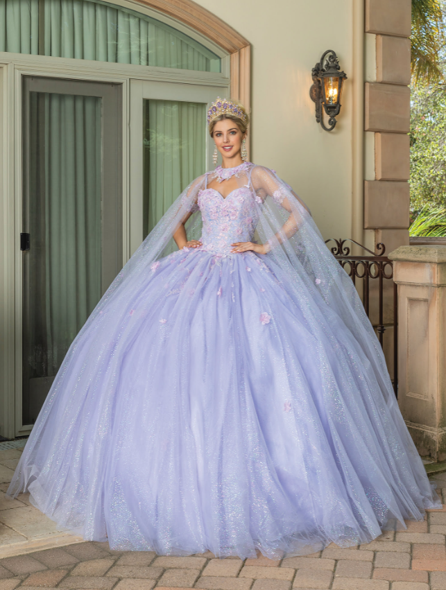 Eva Long-Sleeved Gown with Appliqués and Sheer Overlay Quinceanera Dress