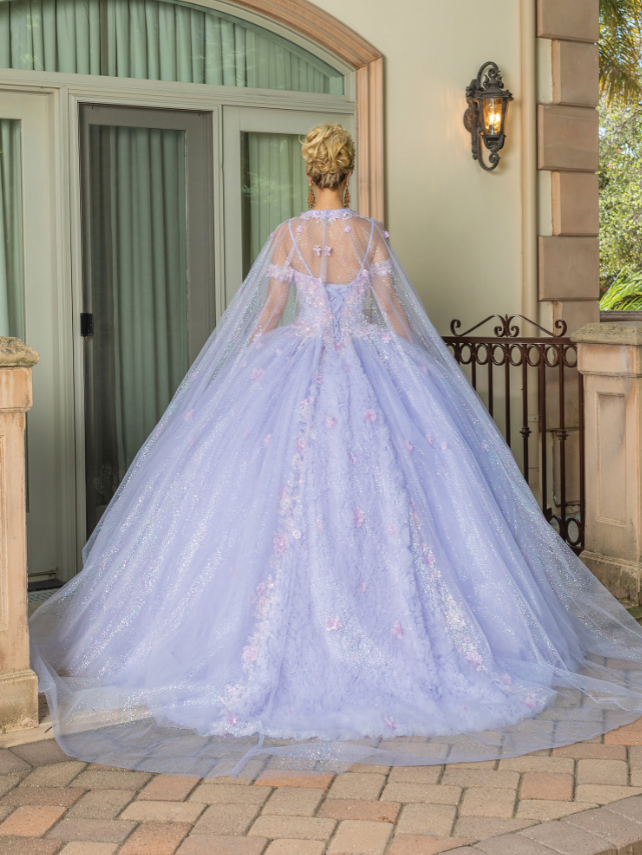 Eva Long-Sleeved Gown with Appliqués and Sheer Overlay Quinceanera Dress