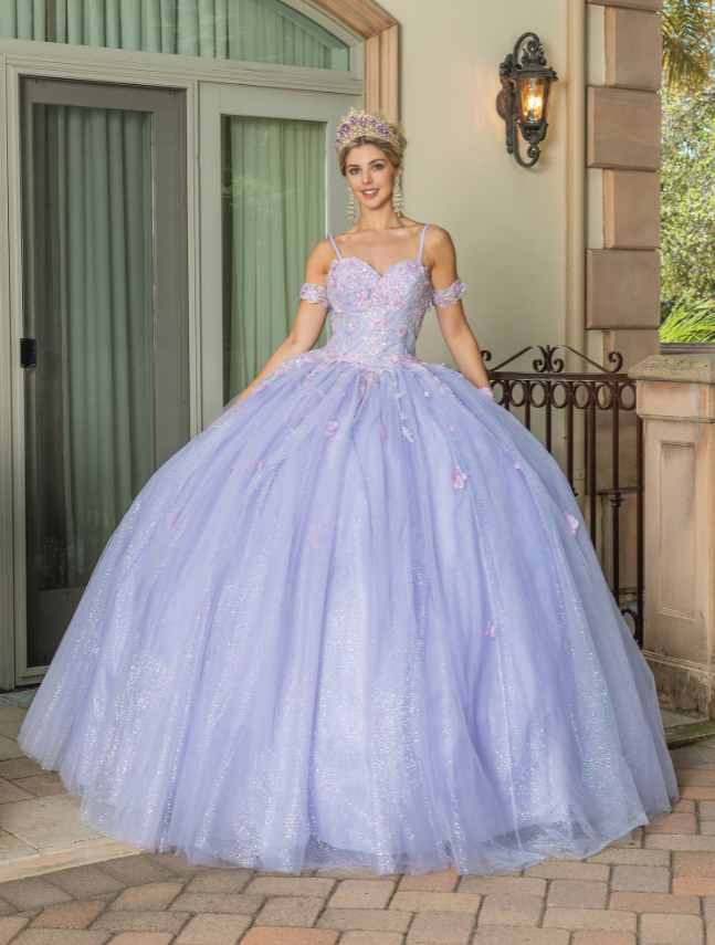 Eva Long-Sleeved Gown with Appliqués and Sheer Overlay Quinceanera Dress