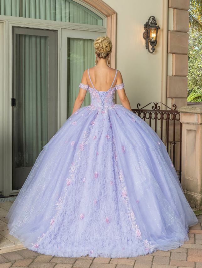 Eva Long-Sleeved Gown with Appliqués and Sheer Overlay Quinceanera Dress